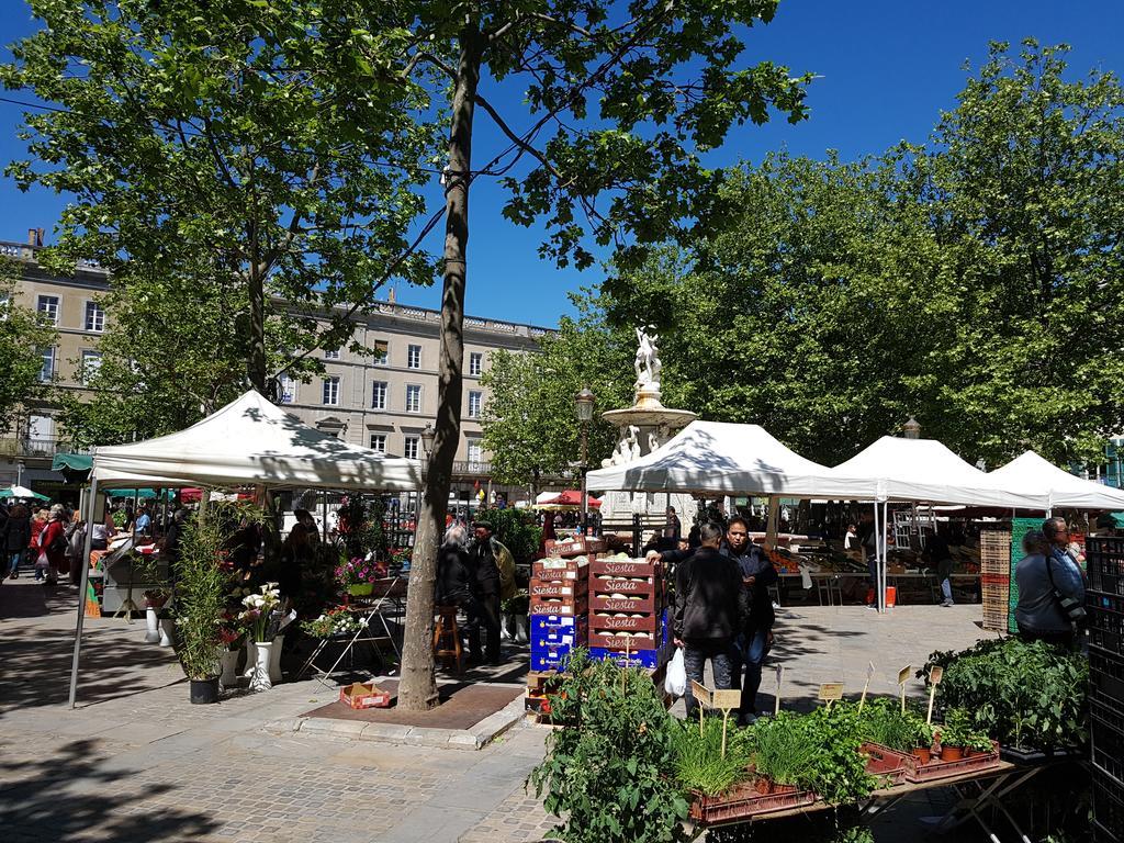 Penthouse Apartment Overlooking Place Carnot Carcassonne Dış mekan fotoğraf
